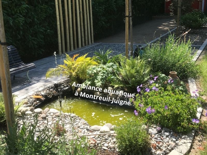 jardin ambiance aquatique