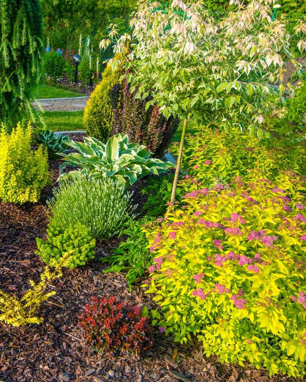 jardin plnate